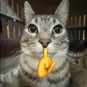 Discovery icon for 🎄Feira da Bandoma Discord server