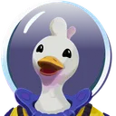 Duck Side of the Moon