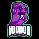 Voodoo Plague Gaming's server