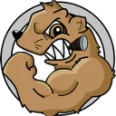The Fighting Mongooses