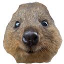e boys/e girls hunters Discord Server Icon