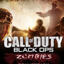 Black Ops Zombies Server Discord Server Icon