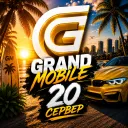 Организации 20 | Grand Mobile