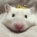 Rat dungeon Discord Server Icon