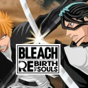 Bleach Rebirth of Souls PC/PS5 NA HUB