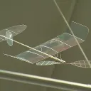 Flight