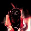 ROSE OF LOVE / Społeczność Polska icon