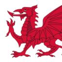 Kingdom of Gwynedd Discord Server Icon