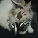 Kittens den