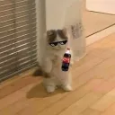 THE AUDIO DRUG STORE Discord Server Icon