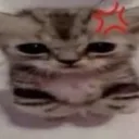 Bots ♡ Discord server icon