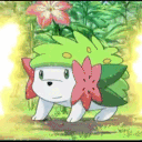 𝕊𝕙𝕒𝕪𝕞𝕚𝕟'𝕤 𝕊𝕜𝕪 𝕊𝕒𝕟𝕔𝕥𝕦𝕒𝕣𝕪