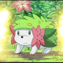 Shaymin's Sky Sanctuary Discord Server Icon