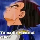 El Cyber de Ania 🌟✖