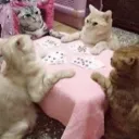 ⼺  𝓯𝓪𝓻𝓽  → ღ Discord Server Icon