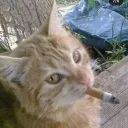 Ayato x Rists Discord Server Icon