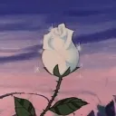 √𝙭𝙩𝙖𝙘𝙮 Discord Server Icon