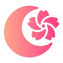 🌸‧₊˚Cherrymoon˚₊‧🌸