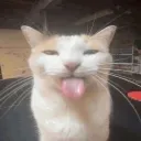 sexo anal