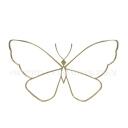 Butterfly Ent.     dj21 Discord Server Icon