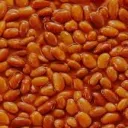 bean taggers