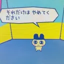 特定班交流場