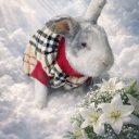 Discovery icon for EderLovers 🎗 💤 Discord server