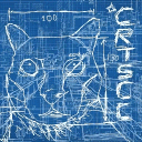 crtscc palingenesis server