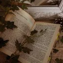 ˚ʚ♡ɞ˚  | Faewood High [RHRP]