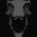 Radiated Reptilians