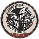 3 Nerdz Gaming