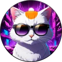 NanoTeam Oficial