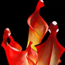 Heliamphora Hub