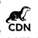 Team CDN