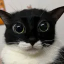 BringBack's Discord
