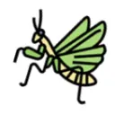 Mantis Community