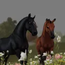 𝐆𝐫𝐢𝐳𝐳𝐥𝐲 𝐃𝐫𝐞𝐬𝐬𝐚𝐠𝐞