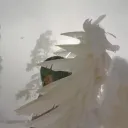 wisp