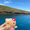 mute but cute🐬 Discord server icon