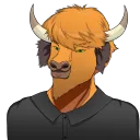 Buffalo's Stable