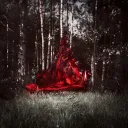 Fera’s Fever .𖥔 ݁ ˖ discord icon