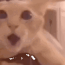 ðŸŽƒAlex Roblox&amp;rsquo;s ServerðŸŽƒ Server Icon