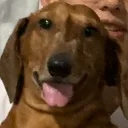 Alyansa Camp Uwu Discord server icon