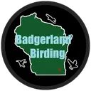 Badgerland Birding