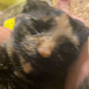 Mental Hospital Discord server icon