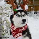 Beyond The Ice Discord Server Icon