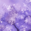 𝓜𝓮𝓪𝓭𝓸𝔀𝓪𝓵𝓵𝓵𝓸 𝓼𝓮𝓻𝓿𝓮𝓻🎀🌸
