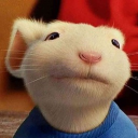 Discovery icon for 🐭┆Stuart Corp Discord server