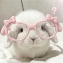 🥕 ༘⋆  warren .ᐟ.ᐟ ⊹ ˖ Ი𐑼