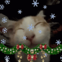 Discovery icon for Carrd & Rentry + Discord server